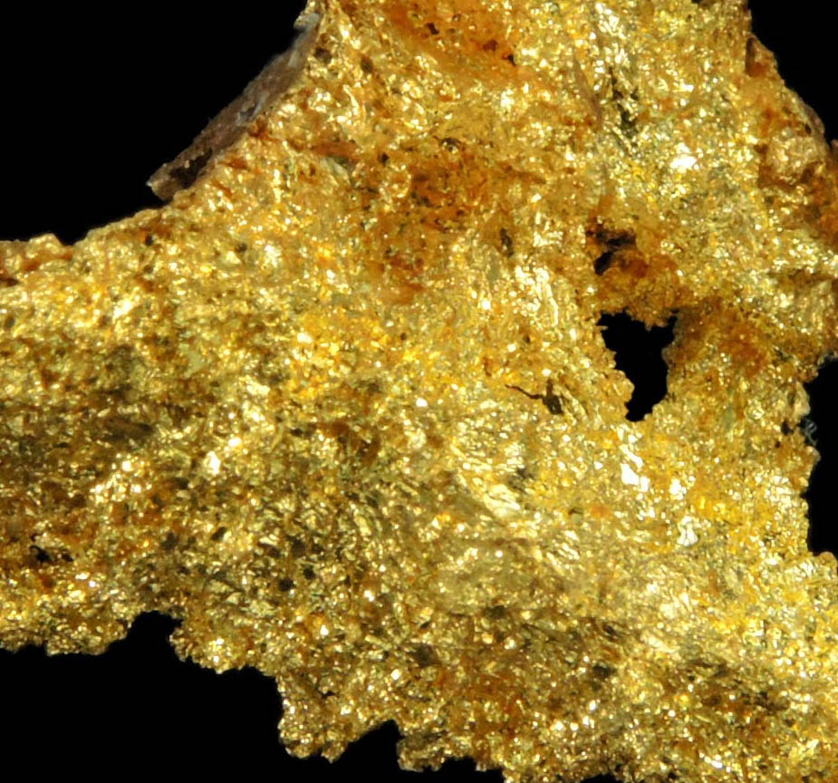 Gold from Coulterville-Mariposa region, Mother Lode Belt, Mariposa County, California