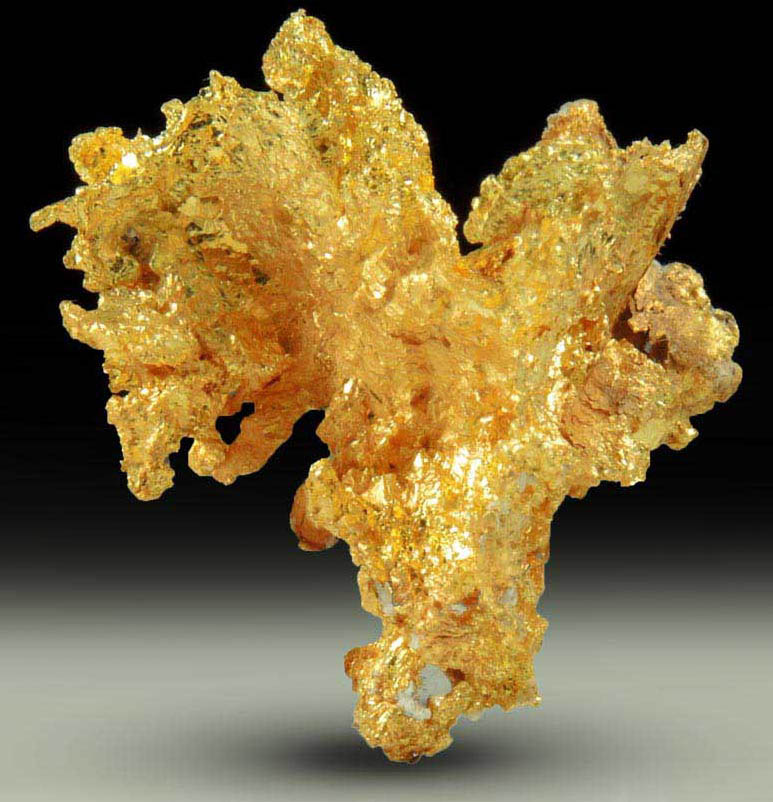 Gold from Coulterville-Mariposa region, Mother Lode Belt, Mariposa County, California