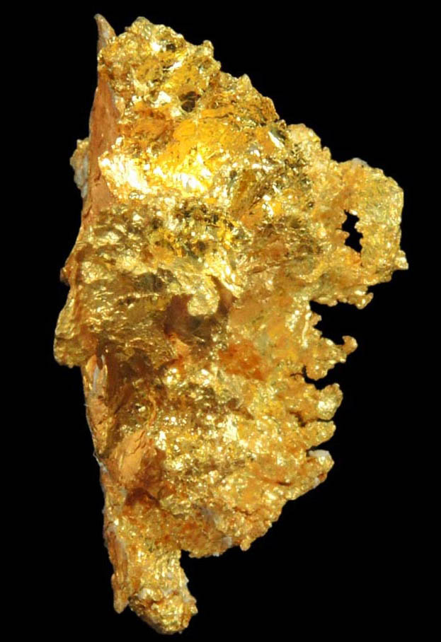 Gold from Coulterville-Mariposa region, Mother Lode Belt, Mariposa County, California