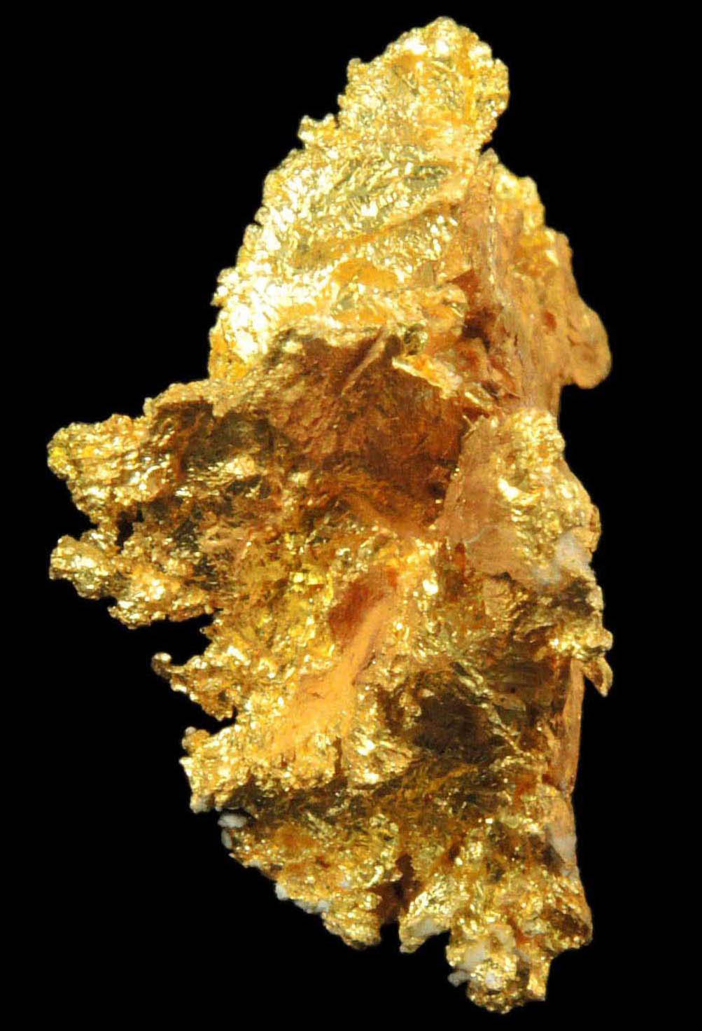 Gold from Coulterville-Mariposa region, Mother Lode Belt, Mariposa County, California