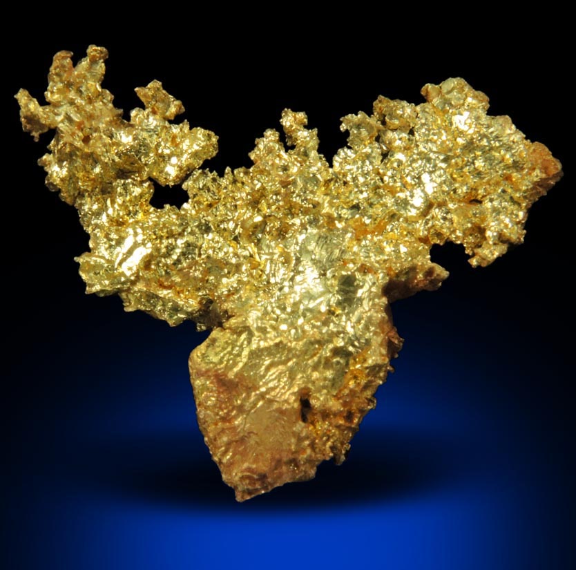 Gold from Coulterville-Mariposa region, Mother Lode Belt, Mariposa County, California