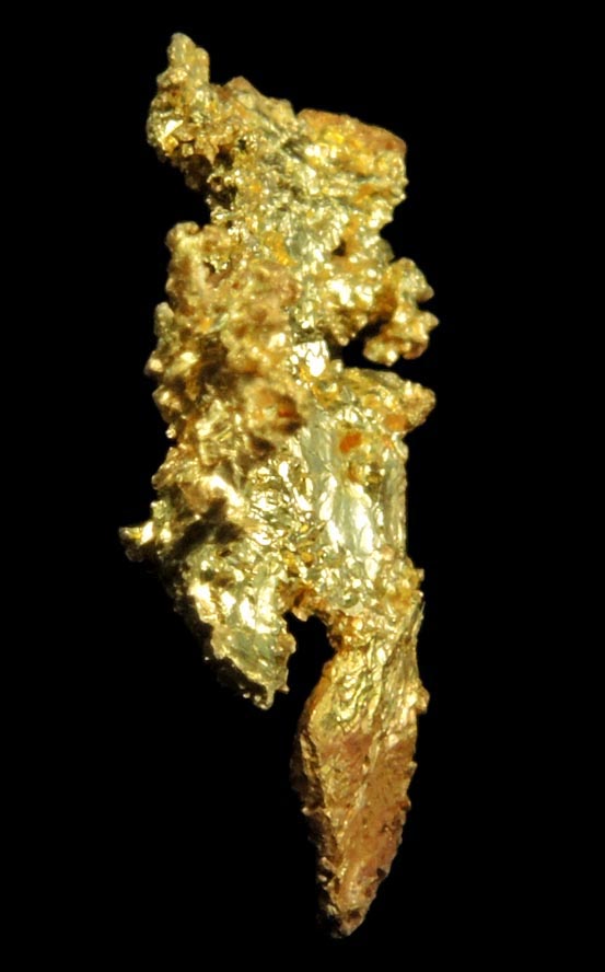 Gold from Coulterville-Mariposa region, Mother Lode Belt, Mariposa County, California