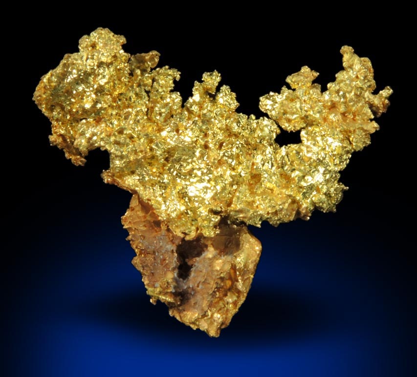 Gold from Coulterville-Mariposa region, Mother Lode Belt, Mariposa County, California