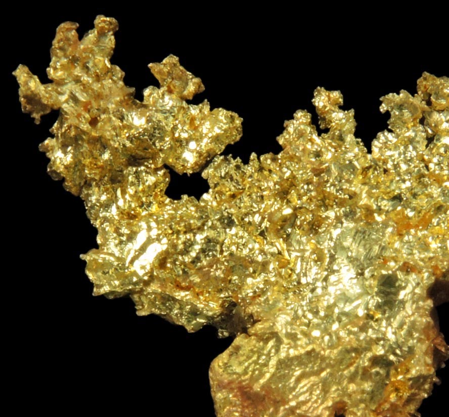 Gold from Coulterville-Mariposa region, Mother Lode Belt, Mariposa County, California