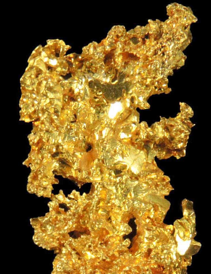 Gold (naturally crystallized native gold) from Harvard Mine, Jamestown District, Tuolumne County, California