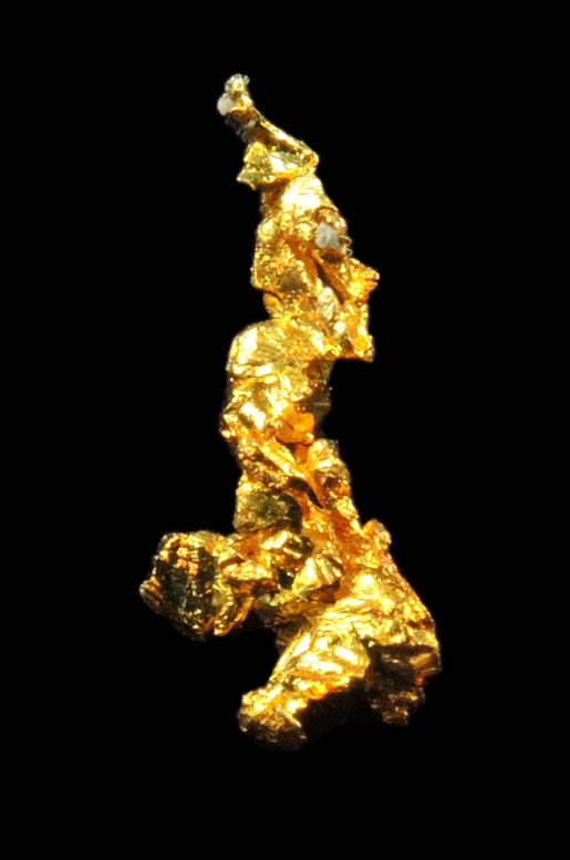 Gold from Diltz Mine, Bear Valley, Whitlock District, Mariposa County, California
