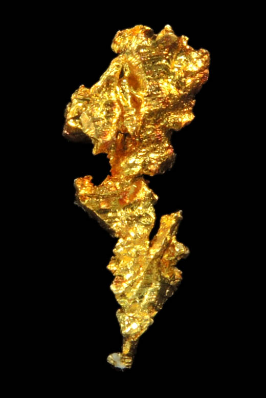 Gold from Diltz Mine, Bear Valley, Whitlock District, Mariposa County, California