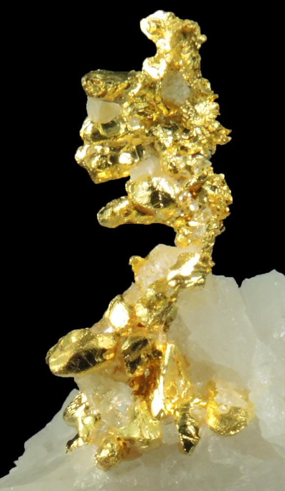 Gold in Quartz (naturally crystallized native gold) from Eagle's Nest Mine, Michigan Bluff District, Placer County, California