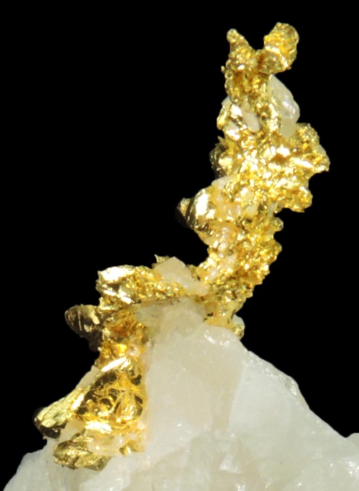 Gold in Quartz (naturally crystallized native gold) from Eagle's Nest Mine, Michigan Bluff District, Placer County, California