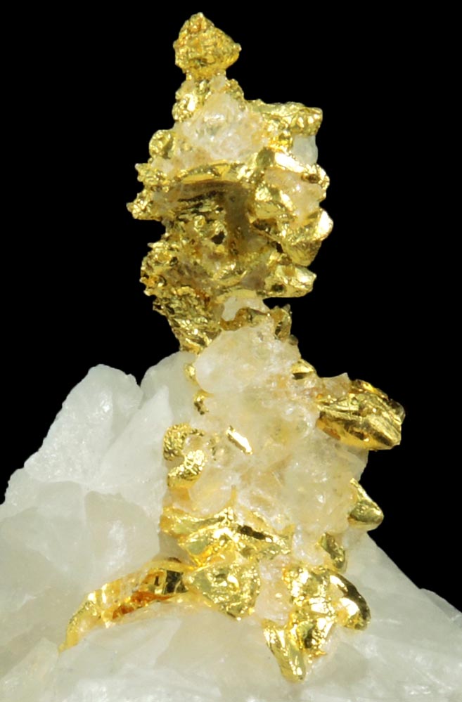 Gold in Quartz (naturally crystallized native gold) from Eagle's Nest Mine, Michigan Bluff District, Placer County, California