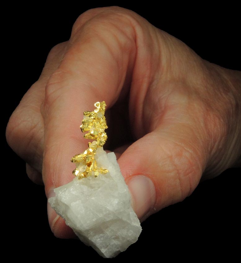 Gold in Quartz (naturally crystallized native gold) from Eagle's Nest Mine, Michigan Bluff District, Placer County, California