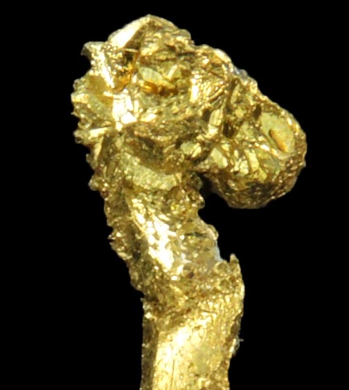 Gold from Eagle's Nest Mine, Michigan Bluff District, Placer County, California