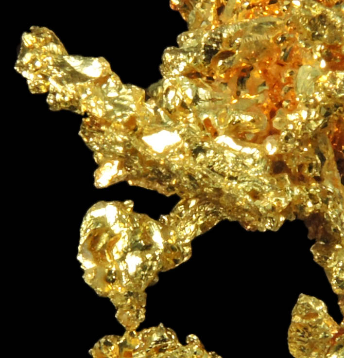 Gold from Eagle's Nest Mine, Michigan Bluff District, Placer County, California