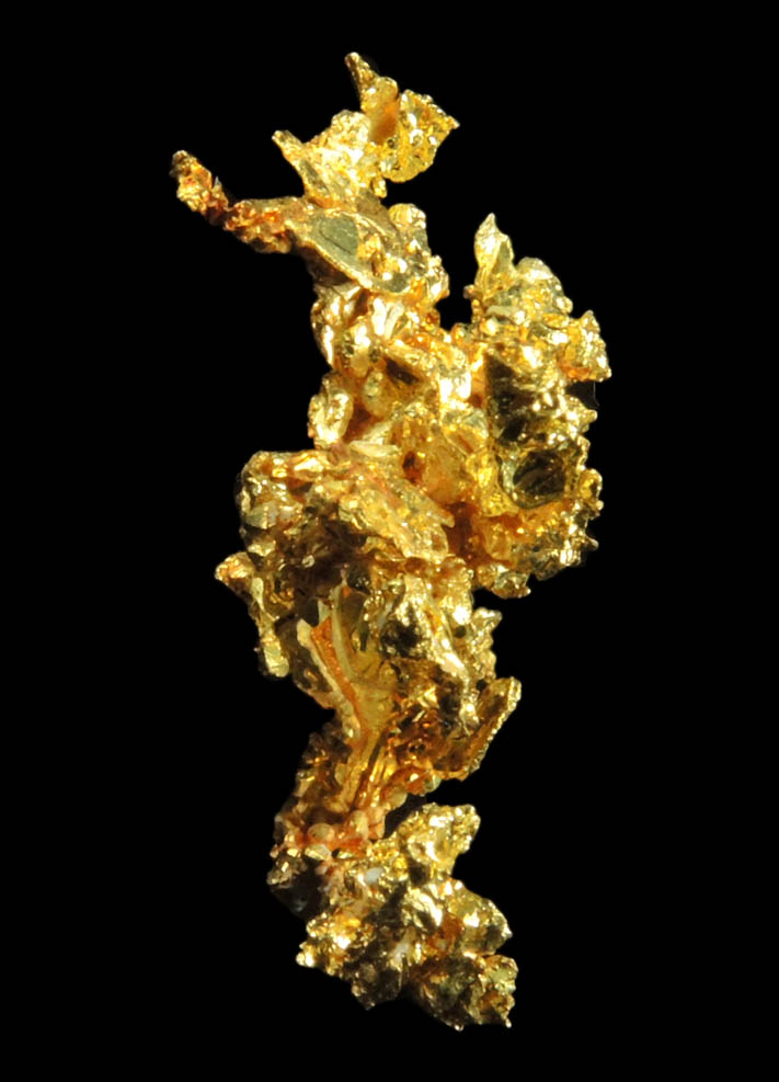 Gold from Eagle's Nest Mine, Michigan Bluff District, Placer County, California