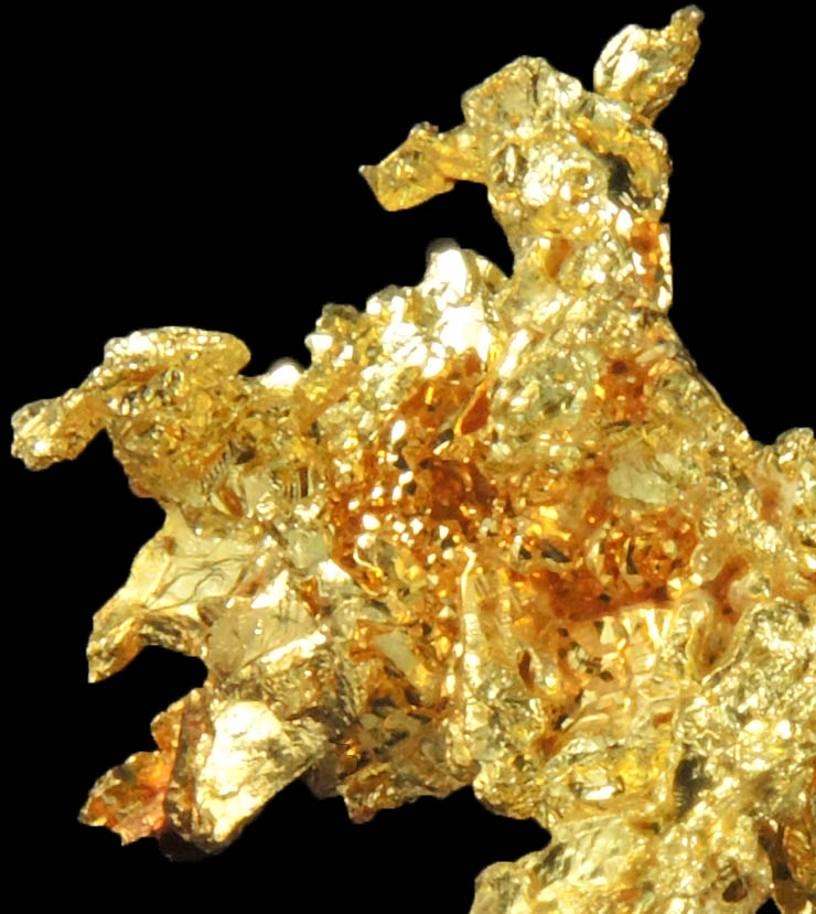 Gold from Eagle's Nest Mine, Michigan Bluff District, Placer County, California