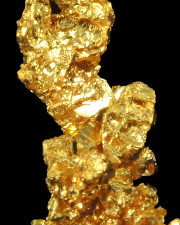 Gold from Eagle's Nest Mine, Michigan Bluff District, Placer County, California