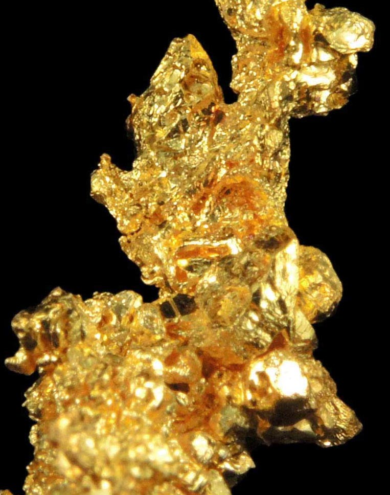 Gold (naturally crystallized native gold) from Eagle's Nest Mine, Michigan Bluff District, Placer County, California
