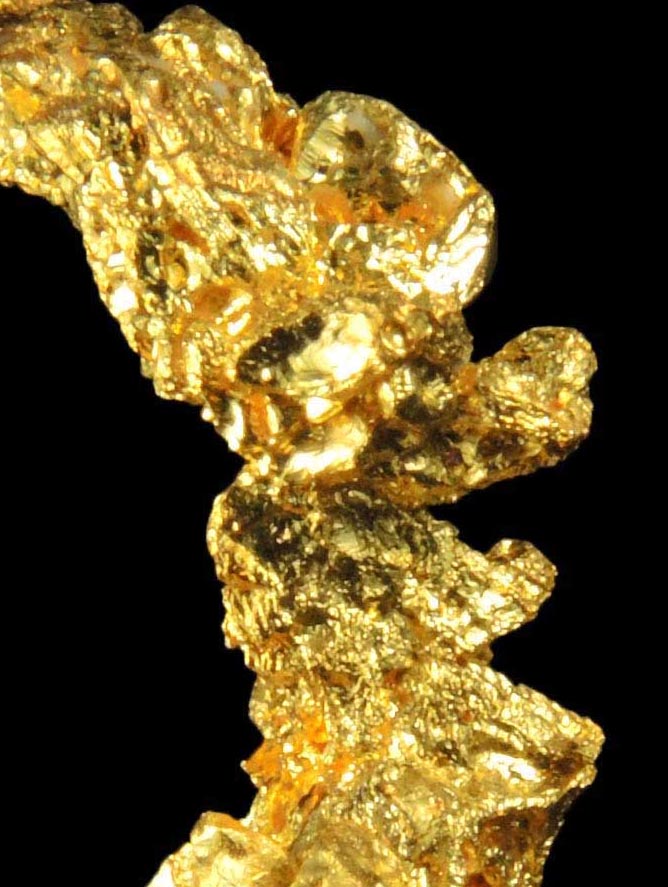 Gold from Eagle's Nest Mine, Michigan Bluff District, Placer County, California