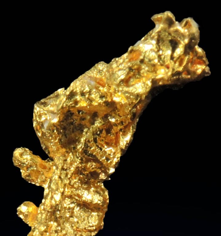 Gold from Eagle's Nest Mine, Michigan Bluff District, Placer County, California