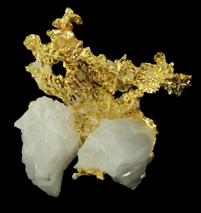 Gold in Quartz (naturally crystallized native gold) from Eagle's Nest Mine, Michigan Bluff District, Placer County, California