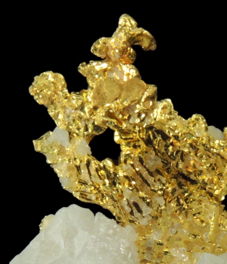 Gold in Quartz (naturally crystallized native gold) from Eagle's Nest Mine, Michigan Bluff District, Placer County, California