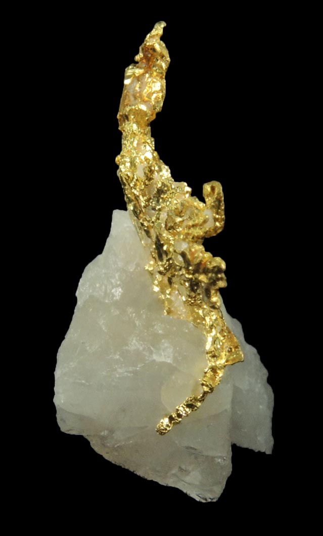 Gold in Quartz (naturally crystallized native gold) from Eagle's Nest Mine, Michigan Bluff District, Placer County, California