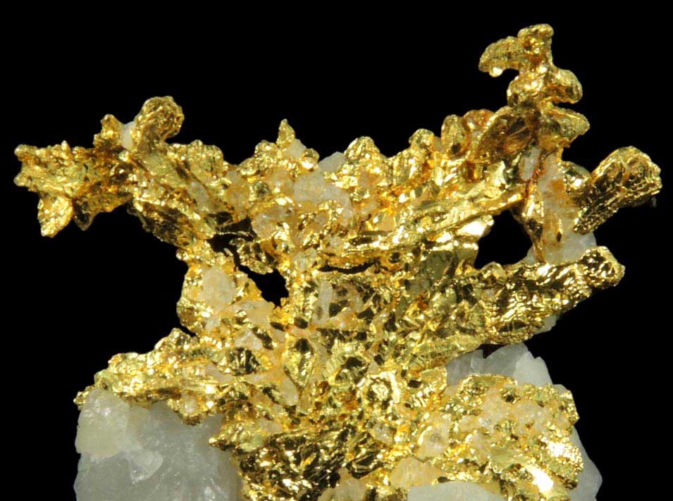 Gold in Quartz (naturally crystallized native gold) from Eagle's Nest Mine, Michigan Bluff District, Placer County, California