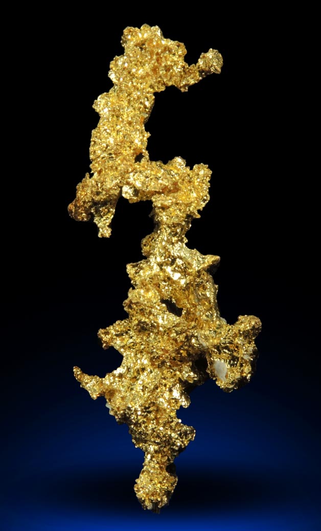 Gold from Eagle's Nest Mine, Michigan Bluff District, Placer County, California