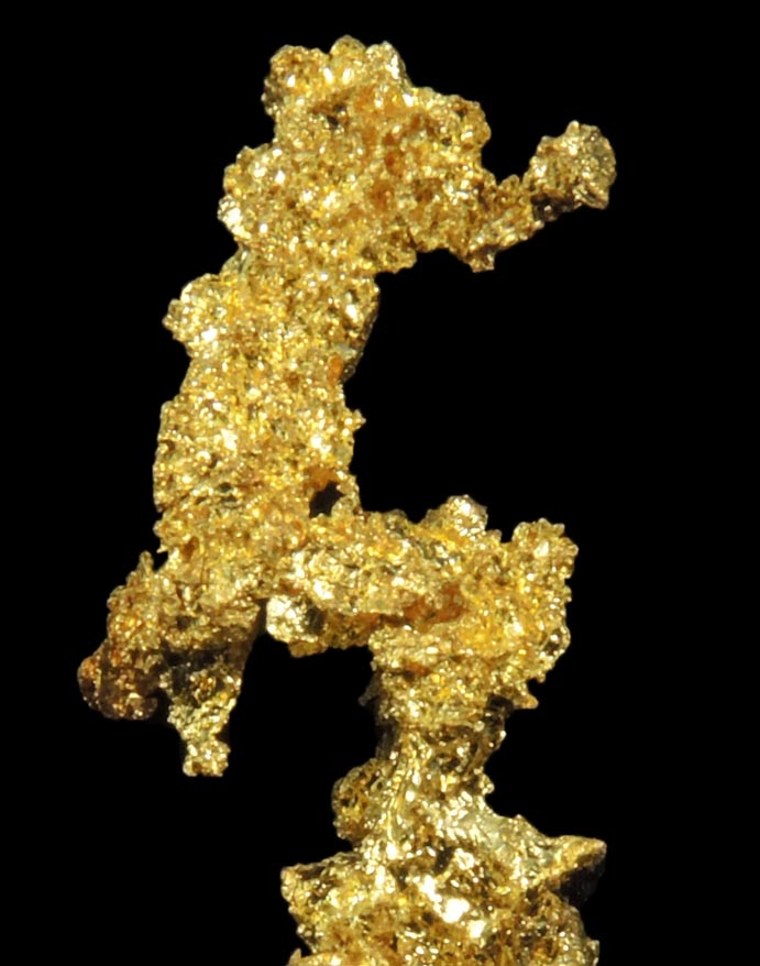 Gold from Eagle's Nest Mine, Michigan Bluff District, Placer County, California