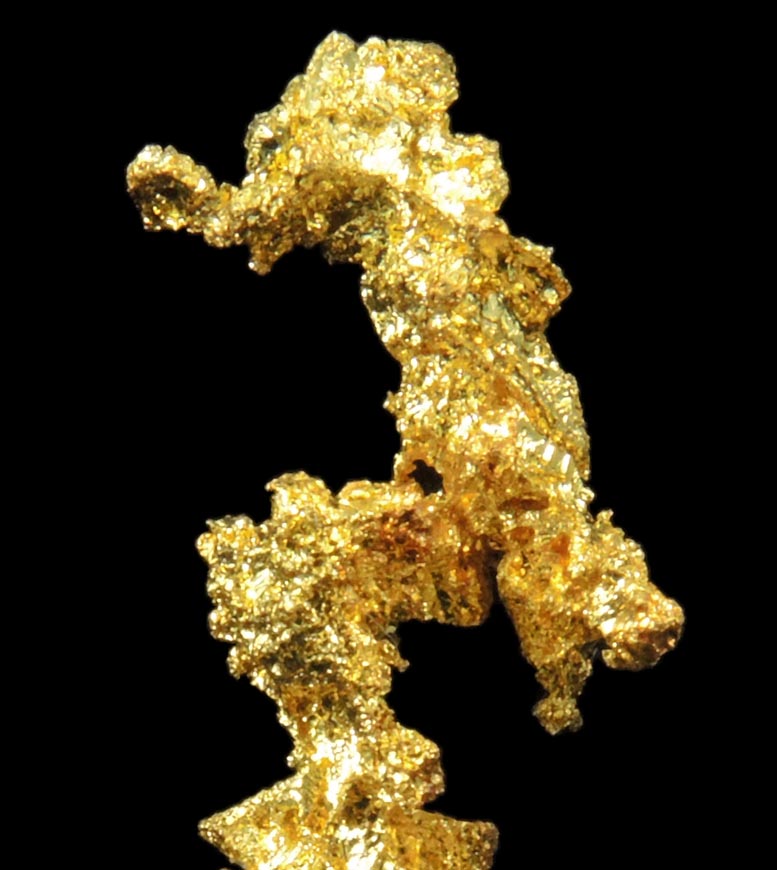 Gold from Eagle's Nest Mine, Michigan Bluff District, Placer County, California