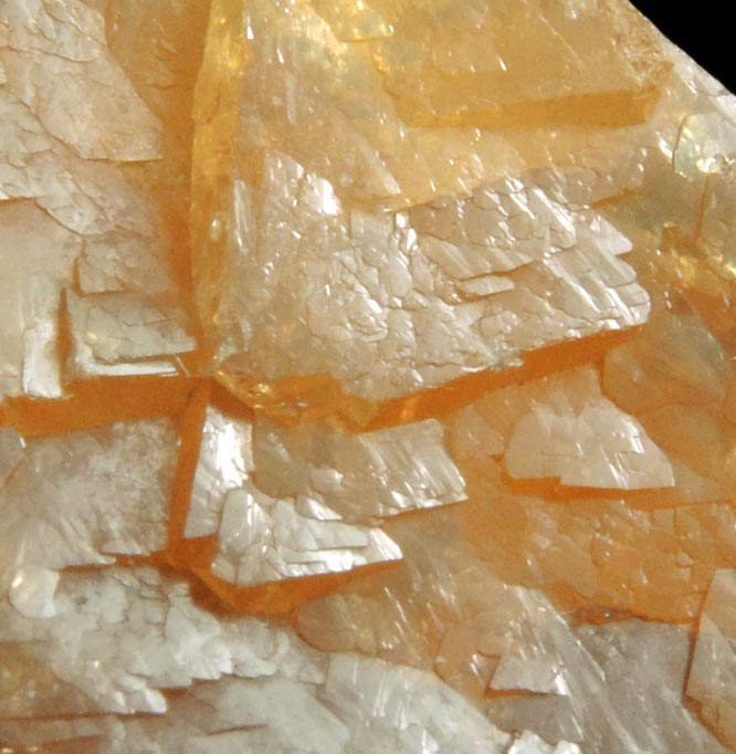 Scheelite with minor Muscovite from Xuebaoding Mountain, near Pingwu, Sichuan Province, China