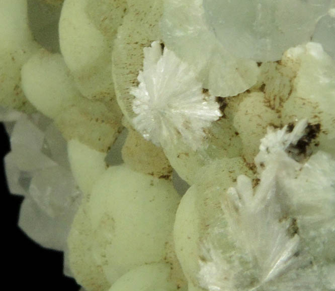 Prehnite, Laumontite, Calcite from Upper New Street Quarry, Paterson, Passaic County, New Jersey