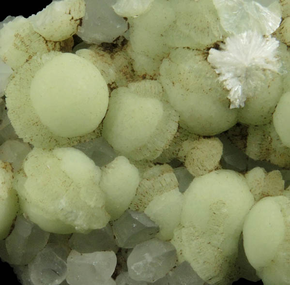 Prehnite, Laumontite, Calcite from Upper New Street Quarry, Paterson, Passaic County, New Jersey