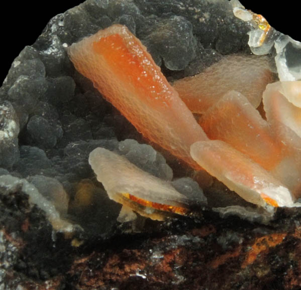 Wulfenite with Hemimorphite coating from Finch Mine, north of Hayden, Banner District, Gila County, Arizona