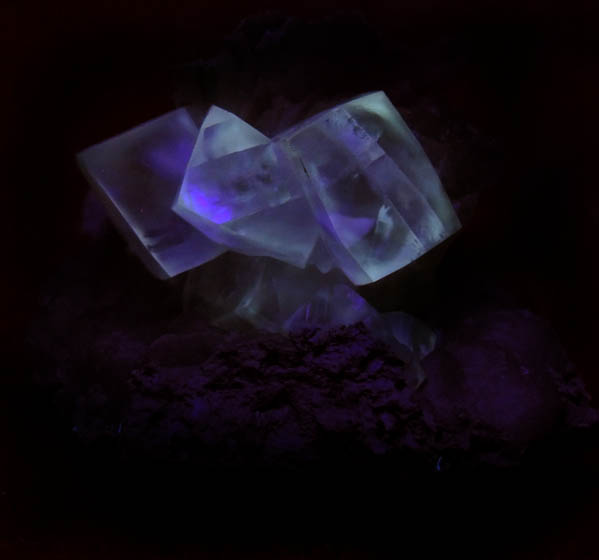 Photo below under shortwave ultraviolet illumination of Calcite on Prehnite with pseudomorphic cavities after Calcite from Millington Quarry, Bernards Township, Somerset County, New Jersey Calcite on Prehnite with pseudomorphic cavities after Calcite from Millington Quarry, Bernards Township, Somerset County, New Jersey