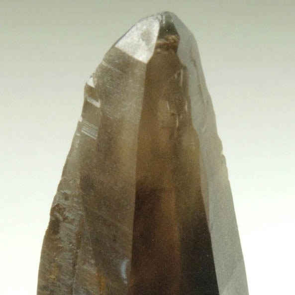 Quartz var. Smoky Quartz (Dauphin Law Twinned) from Lake George District, Park County, Colorado