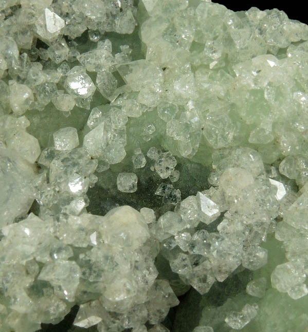 Apophyllite on Prehnite from O and G Industries Southbury Quarry, Southbury, New Haven County, Connecticut