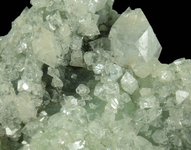 Apophyllite on Prehnite from O and G Industries Southbury Quarry, Southbury, New Haven County, Connecticut