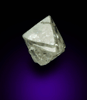 Diamond (0.46 carat colorless octahedral rough diamond) from Northern Cape Province, South Africa