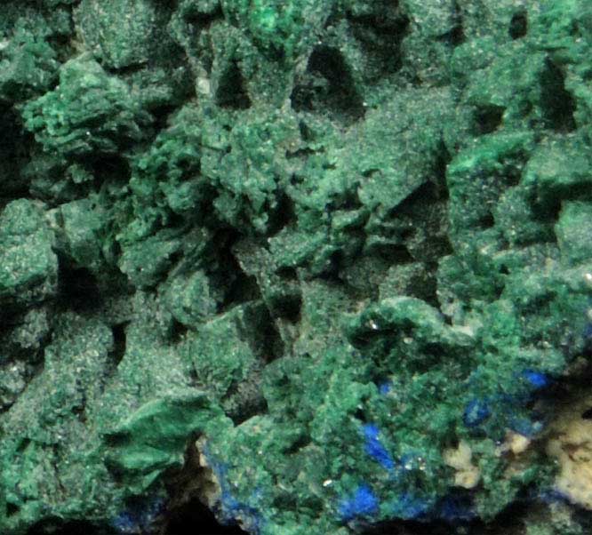 Malachite pseudomorphs after Azurite from Concepcin del Oro, Zacatecas, Mexico