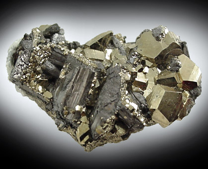 Enargite and Pyrite from La Libertad Mine, Quiruvilca, Peru