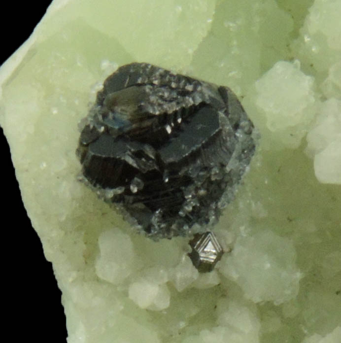 Sphalerite on Prehnite from Millington Quarry, Bernards Township, Somerset County, New Jersey