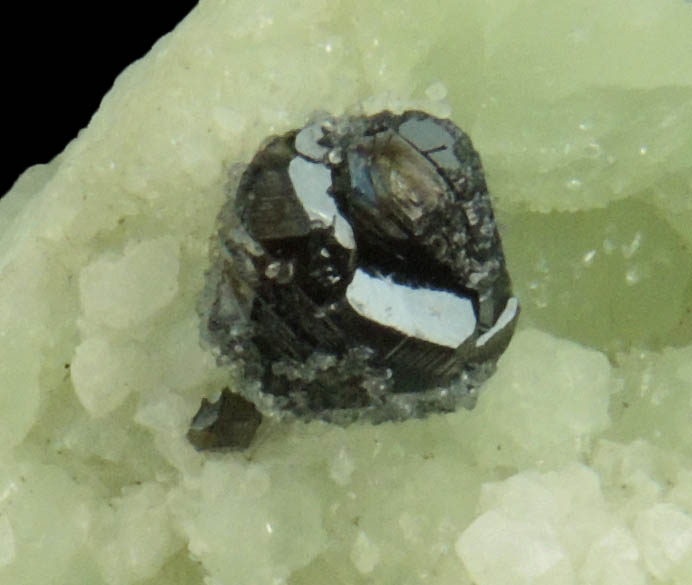 Sphalerite on Prehnite from Millington Quarry, Bernards Township, Somerset County, New Jersey