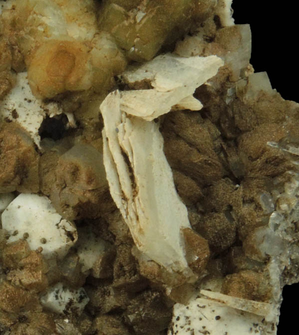 Goethite on pseudomorphs after Quartz from Millington Quarry, Bernards Township, Somerset County, New Jersey