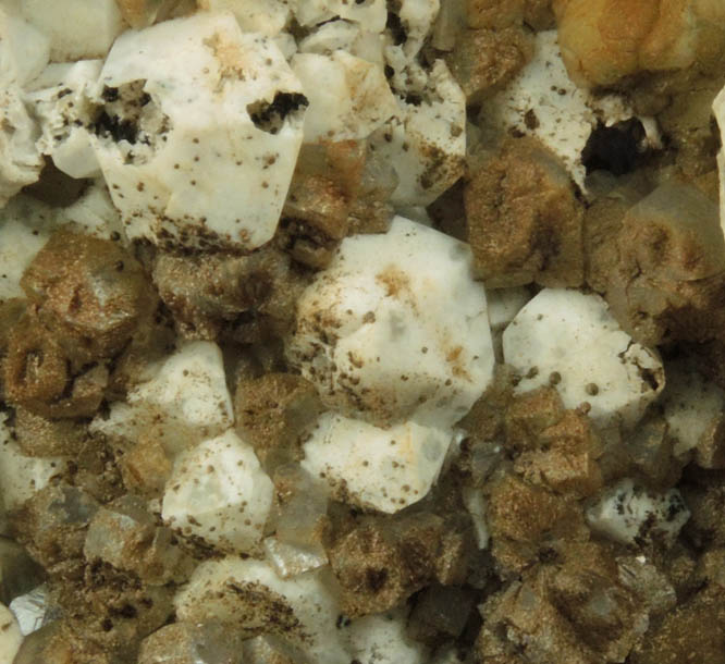 Goethite on pseudomorphs after Quartz from Millington Quarry, Bernards Township, Somerset County, New Jersey