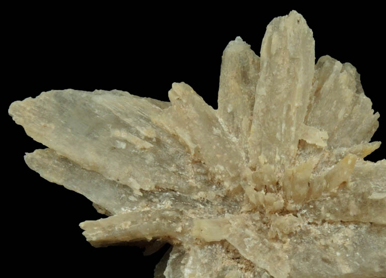 Gypsum from Paint Mines shale formation, south of Calhan, El Paso County, Colorado