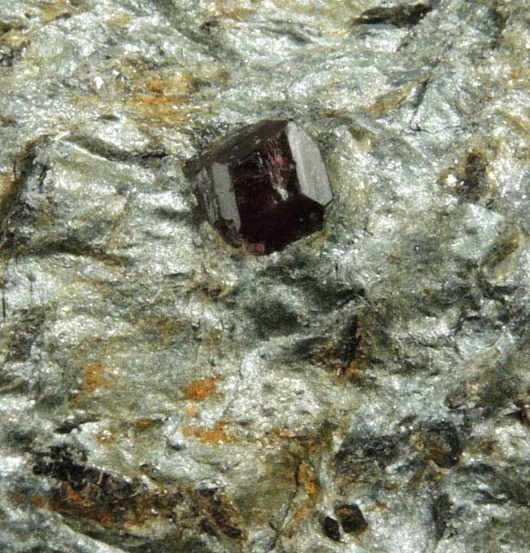 Almandine Garnet in schist from Pipeline excavation, south of Diamond Lake, Glastonbury, Hartford County, Connecticut