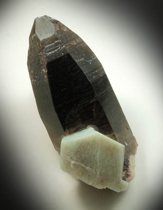 Quartz var. Smoky Quartz with Microcline var. Amazonite from Lake George District, Park County, Colorado