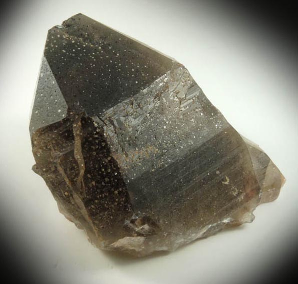 Quartz var. Smoky Quartz from Devil's Head, Rampart Range, 25 km southwest of Castle Rock, Douglas County, Colorado