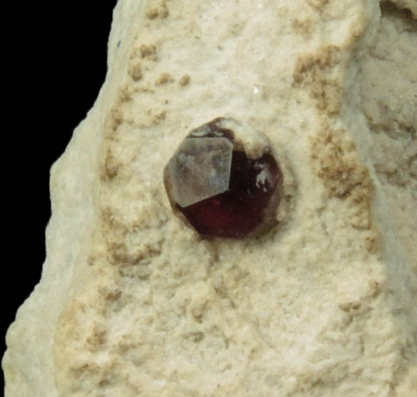 Spessartine Garnet with Topaz from Ruby Mountain, Nathrop, Chaffee County, Colorado